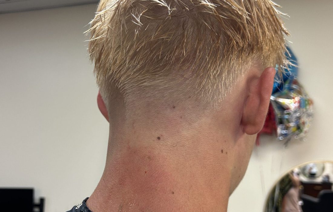 Male Hair IMG 4513 rotated